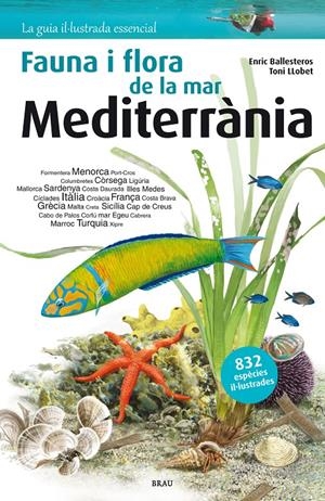 FAUNA I FLORA DE LA MAR MEDITERRÀNIA | 9788415885252 | BALLESTEROS, ENRIC; LLOBET, TONI | Llibreria Drac - Llibreria d'Olot | Comprar llibres en català i castellà online