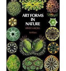 ART FORMS IN NATURE. 100 PLATES DOVER PICTORIAL ARCHIVES | 9780486229874 | HAECKEL, ERNST | Llibreria Drac - Llibreria d'Olot | Comprar llibres en català i castellà online