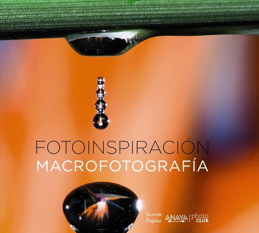 FOTOINSPIRACIÓN. MACROFOTOGRAFÍA | 9788441537019 | AAVV | Llibreria Drac - Llibreria d'Olot | Comprar llibres en català i castellà online