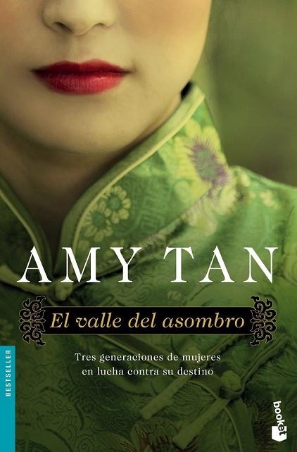 VALLE DEL ASOMBRO, EL | 9788408141723 | TAN, AMY | Llibreria Drac - Llibreria d'Olot | Comprar llibres en català i castellà online