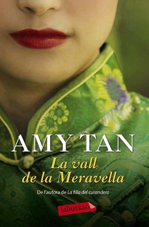 VALL DE LA MERAVELLA, LA | 9788416334278 | TAN, AMY | Llibreria Drac - Llibreria d'Olot | Comprar llibres en català i castellà online