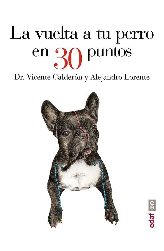 VUELTA A TU PERRO EN 30 PUNTOS, LA | 9788441435483 | CALDERÓN,VICENTE; LORENTE, ALEJANDRO | Llibreria Drac - Llibreria d'Olot | Comprar llibres en català i castellà online