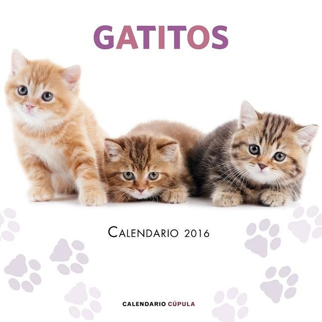 CALENDARIO 2016 GATITOS | 9788448021719 | AA. VV. | Llibreria Drac - Llibreria d'Olot | Comprar llibres en català i castellà online