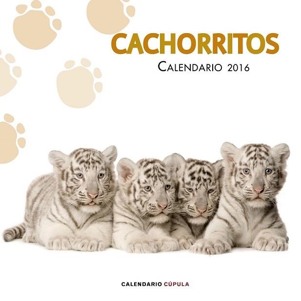 CALENDARIO 2016 CACHORRITOS | 9788448021733 | AA. VV. | Llibreria Drac - Llibreria d'Olot | Comprar llibres en català i castellà online