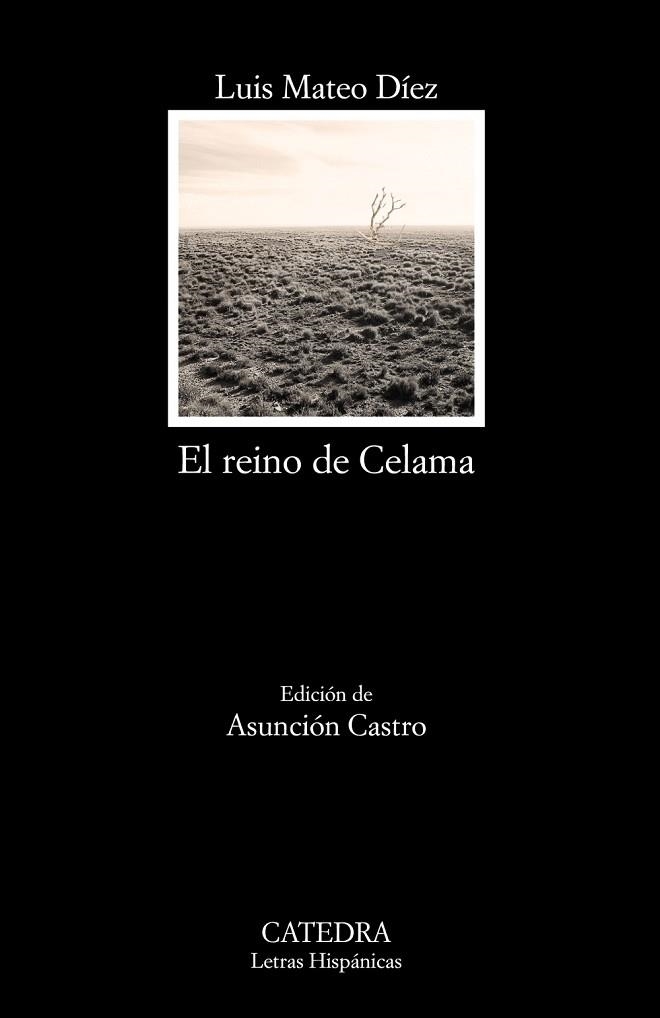 REINO DE CELAMA, EL | 9788437634791 | MATEO DÍEZ, LUIS | Llibreria Drac - Llibreria d'Olot | Comprar llibres en català i castellà online