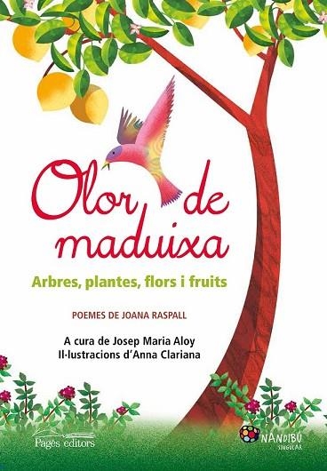 OLOR DE MADUIXA | 9788499757186 | RASPALL, JOANA | Llibreria Drac - Llibreria d'Olot | Comprar llibres en català i castellà online