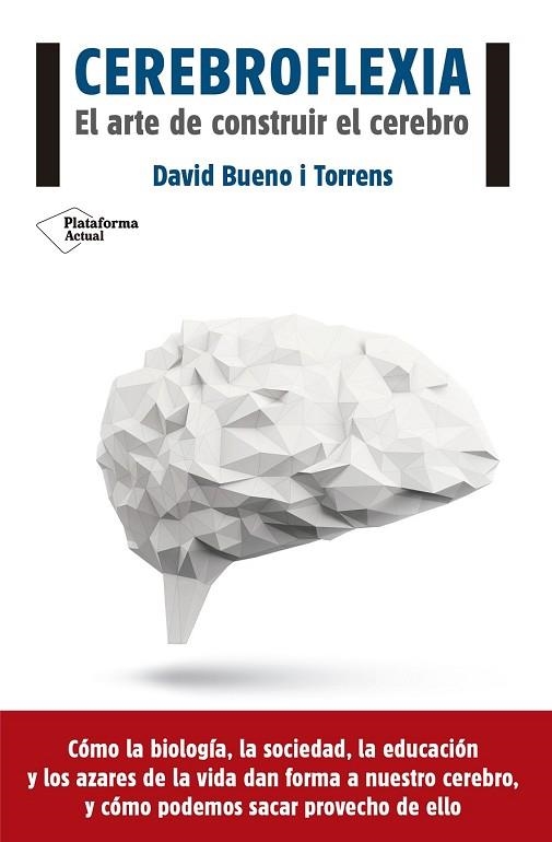 CEREBROFLEXIA | 9788416620111 | BUENO, DAVID | Llibreria Drac - Llibreria d'Olot | Comprar llibres en català i castellà online