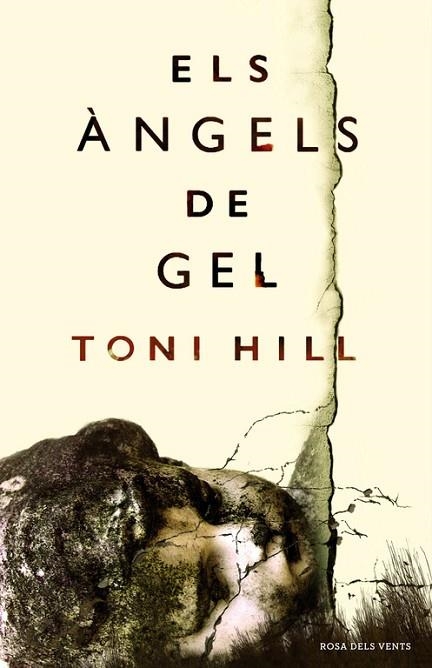 ÀNGELS DE GEL, ELS | 9788416430154 | HILL, TONI | Llibreria Drac - Llibreria d'Olot | Comprar llibres en català i castellà online