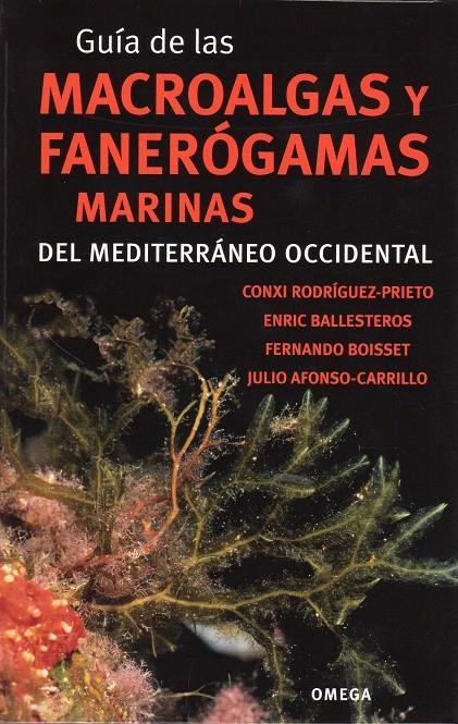 GUIA DE LAS MACROALGAS Y FANEROGAMAS MARINAS DEL MEDITERRANEO OCCIDENTAL | 9788428215923 | RODRIGUEZ,CONXI | Llibreria Drac - Llibreria d'Olot | Comprar llibres en català i castellà online