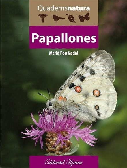 PAPALLONES | 9788480906418 | AA.DD. | Llibreria Drac - Llibreria d'Olot | Comprar llibres en català i castellà online