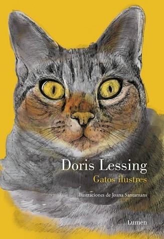 GATOS ILUSTRES | 9788426402868 | LESSING, DORIS | Llibreria Drac - Librería de Olot | Comprar libros en catalán y castellano online