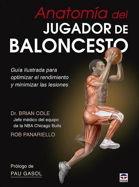 ANATOMÍA DEL JUGADOR DE BALONCESTO | 9788479029999 | COLE, BRIAN; PANARIELLO, ROB | Llibreria Drac - Llibreria d'Olot | Comprar llibres en català i castellà online