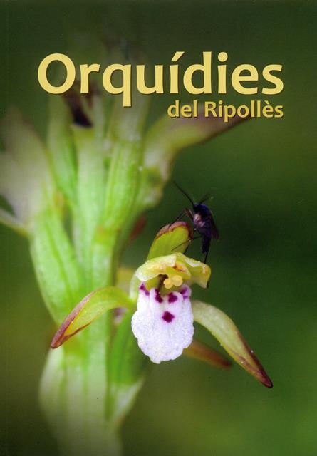 ORQUÍDIES DEL RIPOLLÈS | 9788499652955 | Llibreria Drac - Llibreria d'Olot | Comprar llibres en català i castellà online