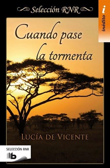 CUANDO PASE LA TORMENTA | 9788490702543 | DE VICENTE, LUCÍA | Llibreria Drac - Llibreria d'Olot | Comprar llibres en català i castellà online