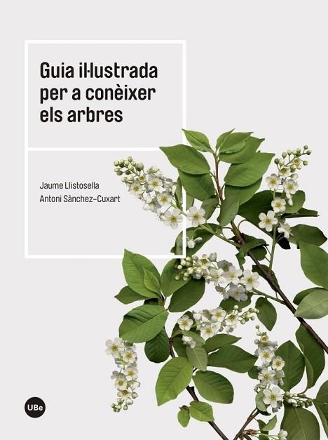 GUIA IL·LUSTRADA PER A CONÈIXER ELS ARBRES | 9788447542444 | LLISTOSELLA, JAUME; SÀNCHEZ, ANTONI | Llibreria Drac - Llibreria d'Olot | Comprar llibres en català i castellà online