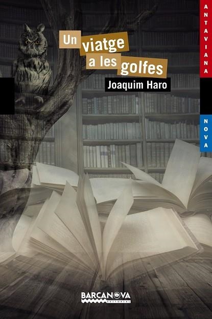 VIATGE A LES GOLFES, UN | 9788448938598 | HARO, JOAQUIM | Llibreria Drac - Llibreria d'Olot | Comprar llibres en català i castellà online