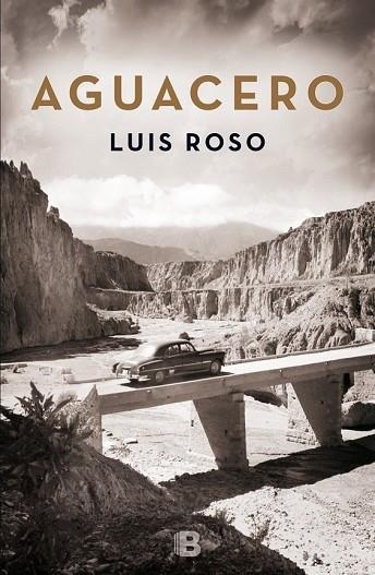 AGUACERO | 9788466659215 | ROSO, LUIS | Llibreria Drac - Llibreria d'Olot | Comprar llibres en català i castellà online