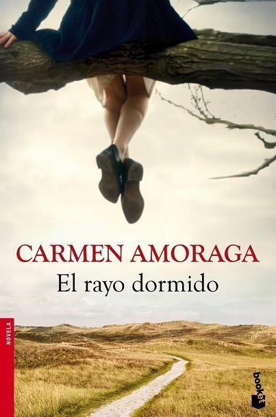 RAYO DORMIDO, EL | 9788423346714 | AMORAGA, CARMEN | Llibreria Drac - Librería de Olot | Comprar libros en catalán y castellano online