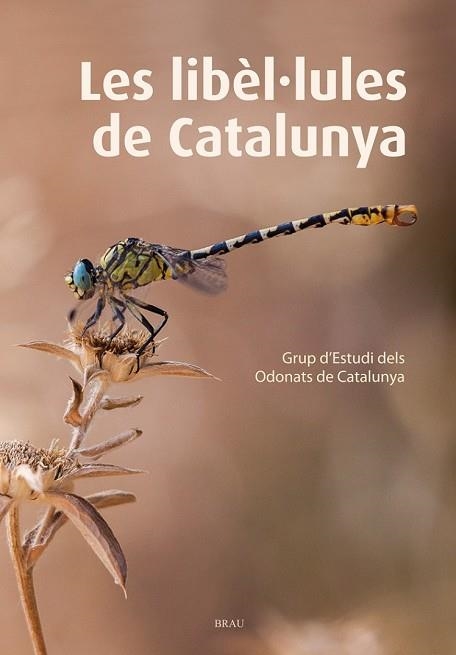 LIBÈL·LULES DE CATALUNYA, LES | 9788415885467 | GRUP D'ESTUDIS DELS ODONATS DE CATALUNYA | Llibreria Drac - Llibreria d'Olot | Comprar llibres en català i castellà online