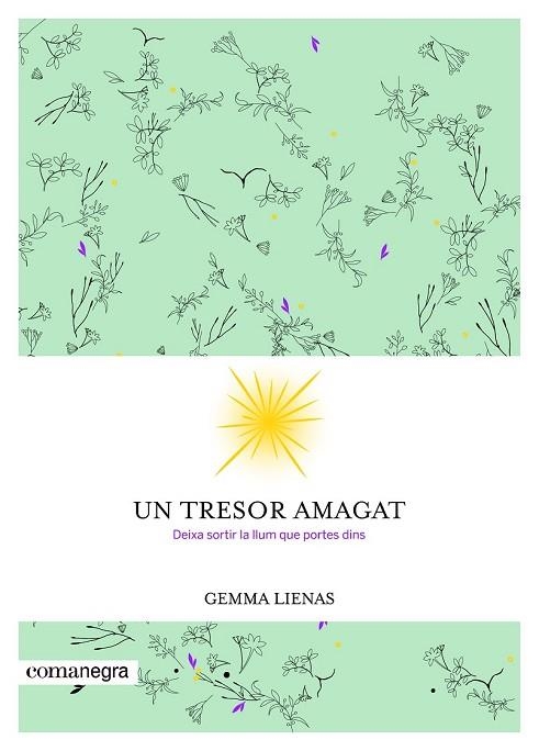 TRESOR AMAGAT, UN | 9788416605347 | LIENAS, GEMMA | Llibreria Drac - Llibreria d'Olot | Comprar llibres en català i castellà online