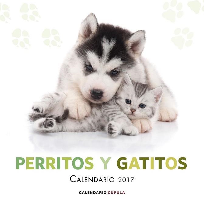 CALENDARIO 2017 PERRITOS Y GATITOS | 9788448022600 | AA. VV. | Llibreria Drac - Llibreria d'Olot | Comprar llibres en català i castellà online