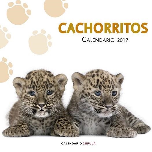 CALENDARIO 2017 CACHORRITOS | 9788448022617 | AA. VV. | Llibreria Drac - Llibreria d'Olot | Comprar llibres en català i castellà online