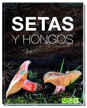 SETAS Y HONGOS | 9783869417776 | KOTHE, HANS W. | Llibreria Drac - Llibreria d'Olot | Comprar llibres en català i castellà online