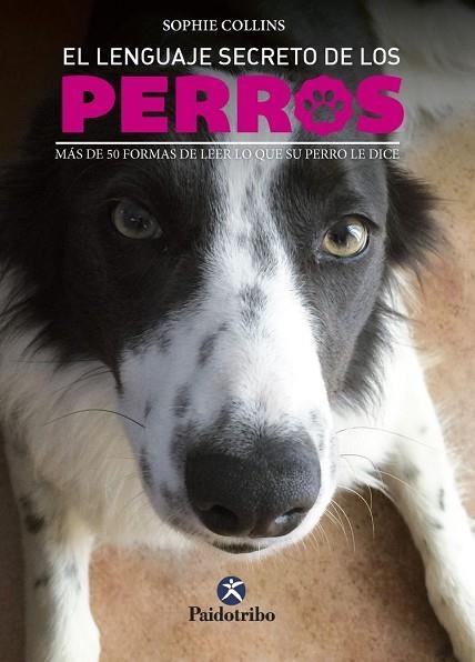 LENGUAJE SECRETO DE LOS PERROS, EL | 9788499106656 | COLLINS, SOPHIE | Llibreria Drac - Llibreria d'Olot | Comprar llibres en català i castellà online