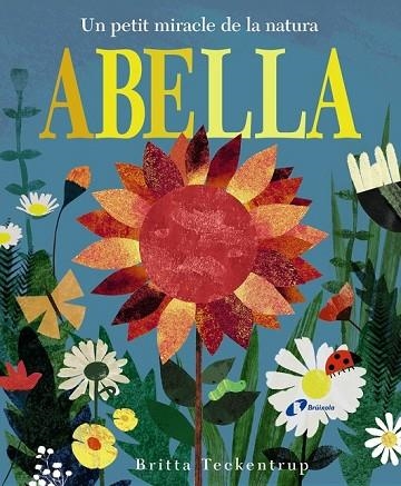 ABELLA | 9788499067278 | HEGARTY, PATRICIA | Llibreria Drac - Llibreria d'Olot | Comprar llibres en català i castellà online