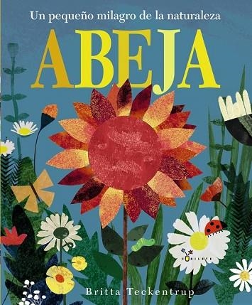 ABEJA | 9788469606223 | HEGARTY, PATRICIA | Llibreria Drac - Llibreria d'Olot | Comprar llibres en català i castellà online