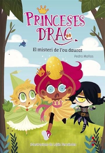 MISTERI DE L'OU DAURAT, EL (PRINCESES DRAC 1) | 9788466141772 | MAÑAS, PEDRO | Llibreria Drac - Llibreria d'Olot | Comprar llibres en català i castellà online