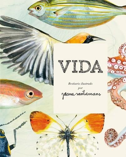 VIDA. BESTIARIO ILUSTRADO POR JOANA SANTAMANS | 9788416670017 | SANTAMANS, JOANA | Llibreria Drac - Llibreria d'Olot | Comprar llibres en català i castellà online