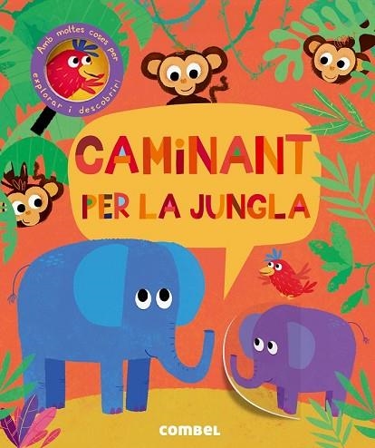 CAMINANT PER LA JUNGLA | 9788491011439 | LITTON, JONATHAN | Llibreria Drac - Llibreria d'Olot | Comprar llibres en català i castellà online