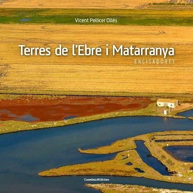 TERRES DE L'EBRE I MATARRANYA | 9788490345467 | PELLICER, VICENT | Llibreria Drac - Llibreria d'Olot | Comprar llibres en català i castellà online