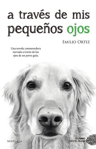 A TRAVÉS DE MIS PEQUEÑOS OJOS | 9788416634682 | ORTIZ, EMILIO | Llibreria Drac - Llibreria d'Olot | Comprar llibres en català i castellà online