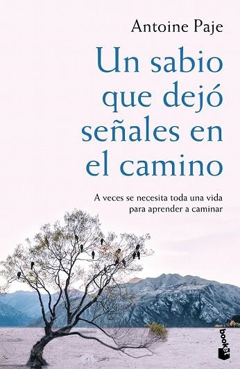 SABIO QUE DEJÓ SEÑALES EN EL CAMINO, UN | 9788408166382 | PAJE, ANTOINE | Llibreria Drac - Llibreria d'Olot | Comprar llibres en català i castellà online