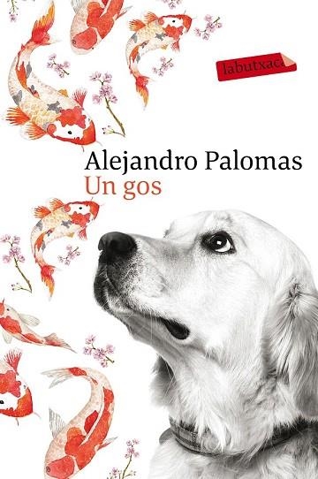 GOS, UN | 9788416600625 | PALOMAS, ALEJANDRO | Llibreria Drac - Llibreria d'Olot | Comprar llibres en català i castellà online