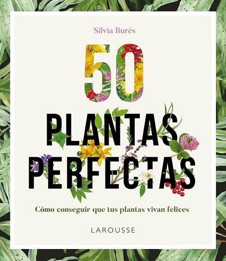 50 PLANTAS PERFECTAS | 9788416641840 | BURÉS, SILVIA | Llibreria Drac - Llibreria d'Olot | Comprar llibres en català i castellà online