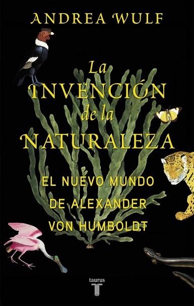 INVENCIÓN DE LA NATURALEZA, LA | 9788430618996 | WULF, ANDREA | Llibreria Drac - Llibreria d'Olot | Comprar llibres en català i castellà online