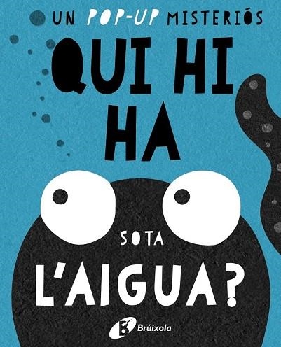 QUI HI HA SOTA L'AIGUA? (UN POP-UP MISTERIOS) | 9788499067667 | AA.DD. | Llibreria Drac - Llibreria d'Olot | Comprar llibres en català i castellà online