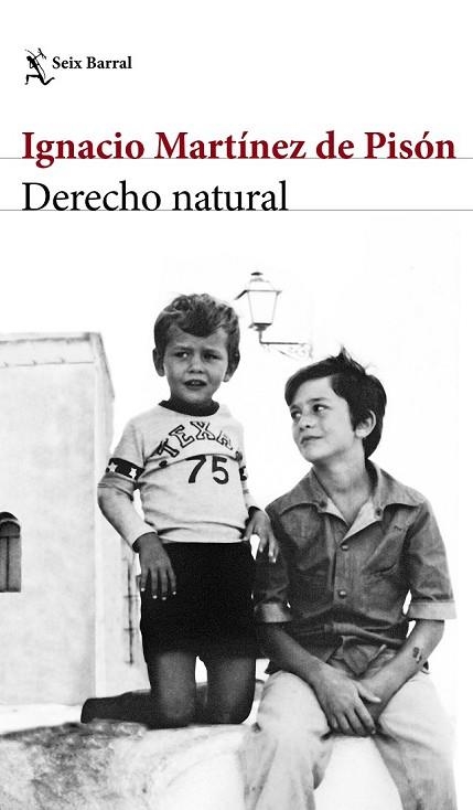 DERECHO NATURAL | 9788432232220 | MARTÍNEZ DE PISÓN, IGNACIO | Llibreria Drac - Llibreria d'Olot | Comprar llibres en català i castellà online