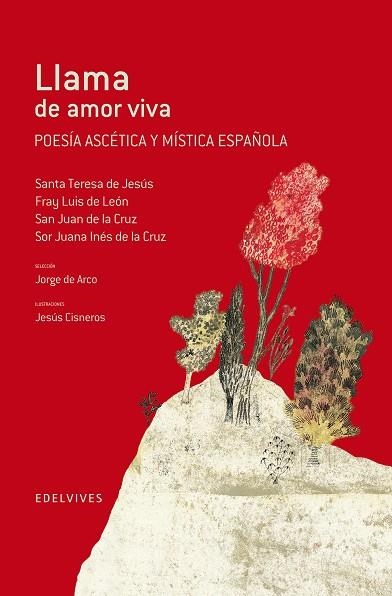 LLAMA DE AMOR VIVA (POESÍA ASCÉTICA Y MÍSTICA ESPAÑOLA) | 9788426390462 | SANTA TERESA DE JESÚS | Llibreria Drac - Librería de Olot | Comprar libros en catalán y castellano online