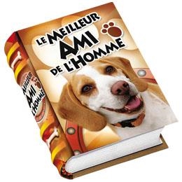 MEILLEUR AMI DE L´HOMME, LE ( LIBROS PEQUEÑOS ) | 9786124076749 | Llibreria Drac - Llibreria d'Olot | Comprar llibres en català i castellà online