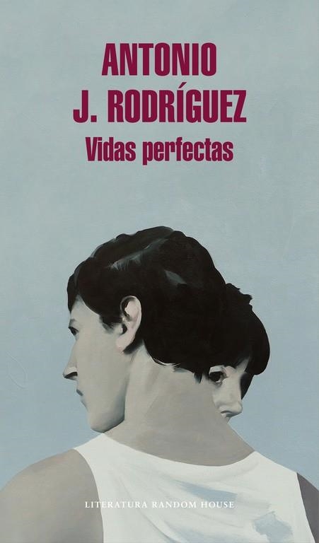 VIDAS PERFECTAS | 9788439732891 | RODRÍGUEZ, ANTONIO J. | Llibreria Drac - Llibreria d'Olot | Comprar llibres en català i castellà online