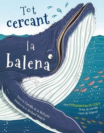 TOT CERCANT LA BALENA | 9788416712342 | BÉDOYÈRE; WATSON, RICHARD | Llibreria Drac - Llibreria d'Olot | Comprar llibres en català i castellà online