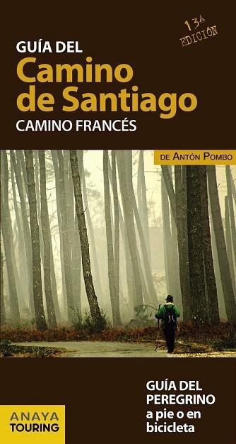 GUÍA DEL CAMINO DE SANTIAGO 2017. CAMINO FRANCÉS | 9788499358420 | VV.AA. | Llibreria Drac - Llibreria d'Olot | Comprar llibres en català i castellà online