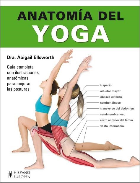 ANATOMÍA DEL YOGA | 9788425521201 | ELLSWORTH, ABIGAIL | Llibreria Drac - Llibreria d'Olot | Comprar llibres en català i castellà online