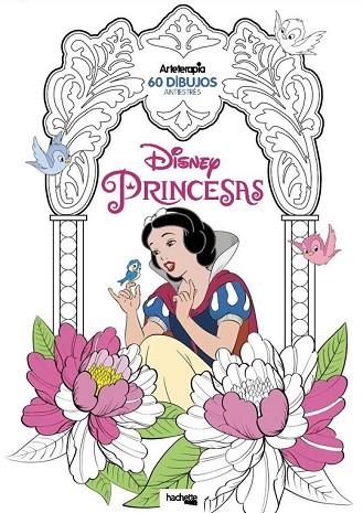 ARTETERAPIA. PRINCESAS DISNEY | 9788416857265 | AA.DD. | Llibreria Drac - Llibreria d'Olot | Comprar llibres en català i castellà online