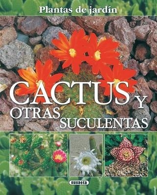 CACTUS Y OTRAS SUCULENTAS, PLANTAS DE JARDÍN | 9788430556878 | ALONSO DE LA PAZ, FRANCISCO JAVIER | Llibreria Drac - Librería de Olot | Comprar libros en catalán y castellano online