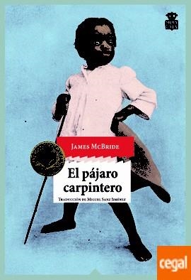 PÁJARO CARPINTERO, EL | 9788416537198 | MCBRIDE, JAMES | Llibreria Drac - Librería de Olot | Comprar libros en catalán y castellano online